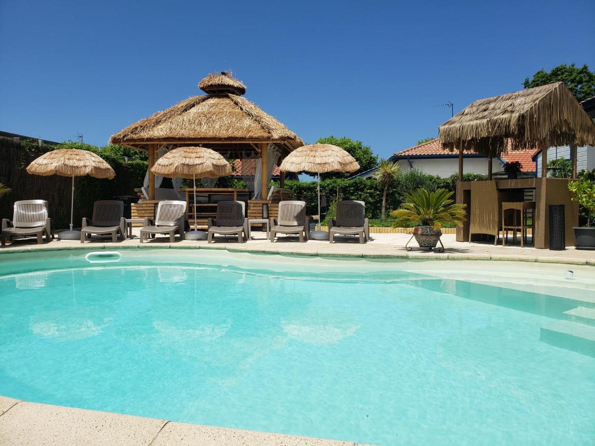 Studio Zure Ondoan - Spa Et Piscine Chauffee Tarnos Bagian luar foto