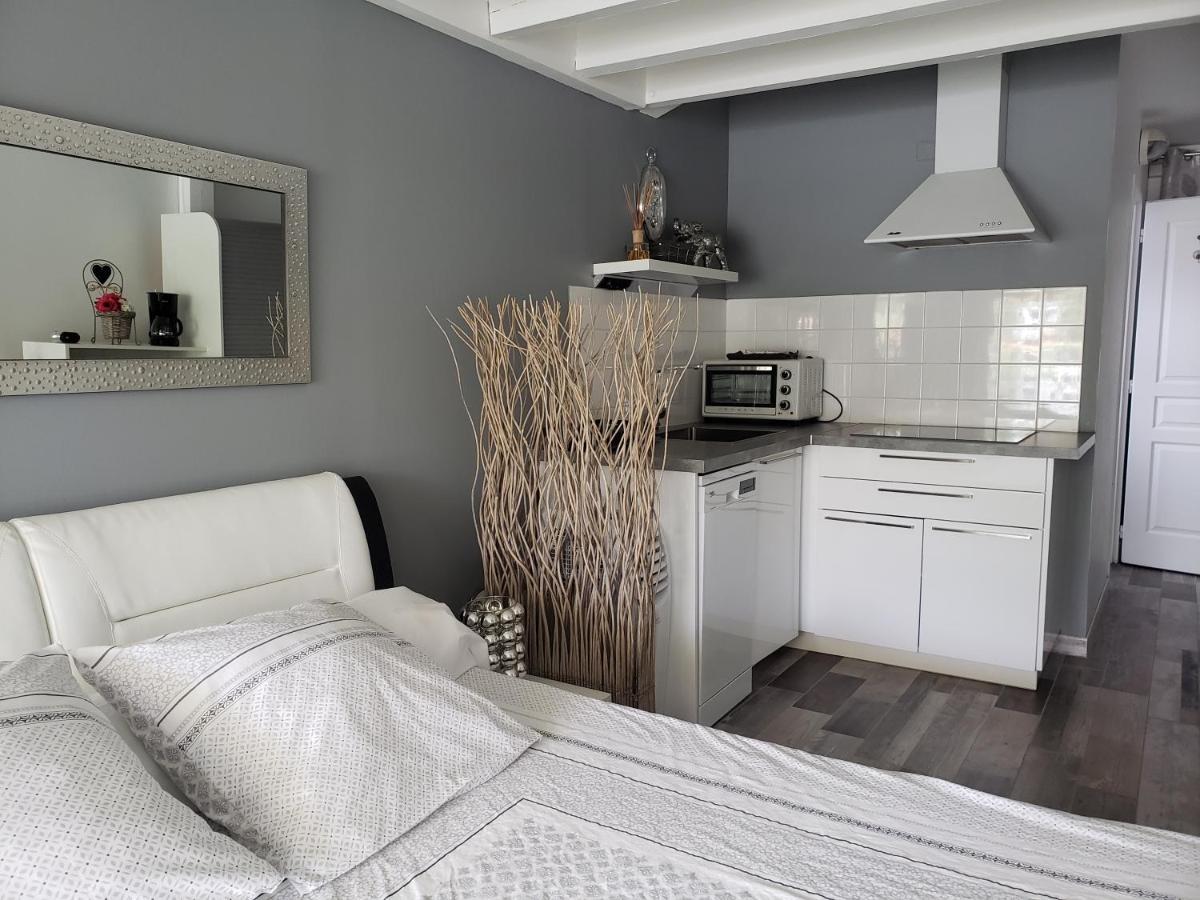 Studio Zure Ondoan - Spa Et Piscine Chauffee Tarnos Bagian luar foto
